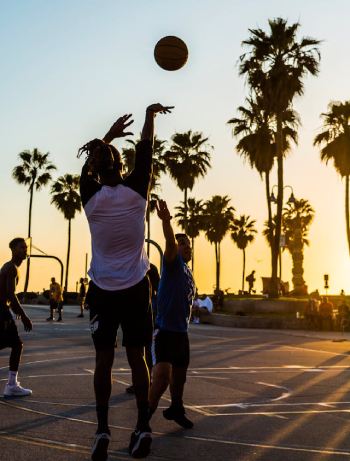 Variety of Sports